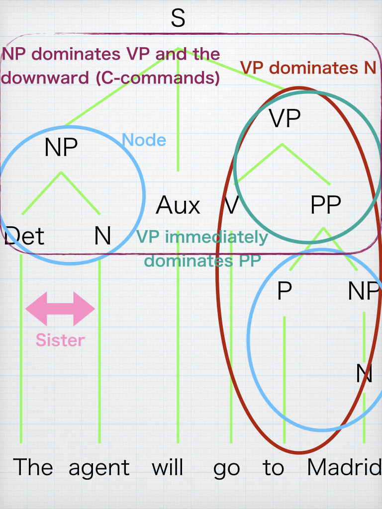 学習ノート Generative Syntax 2まとめ - S-Linguistics